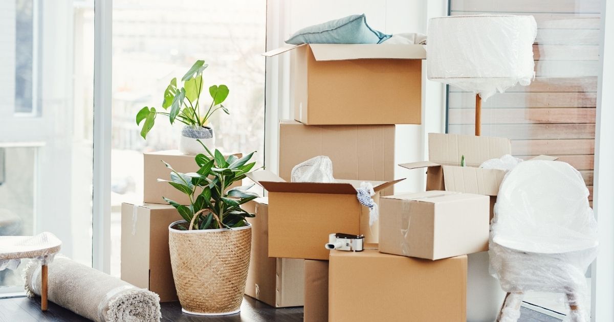 Can movers move appliances? Which ones and how to prepare
